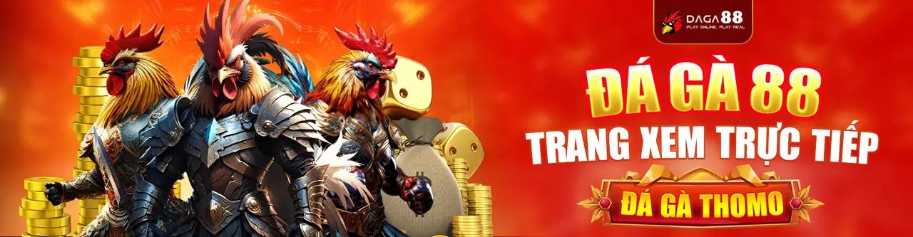 Hình nền đá gà Thomo trực tiếp